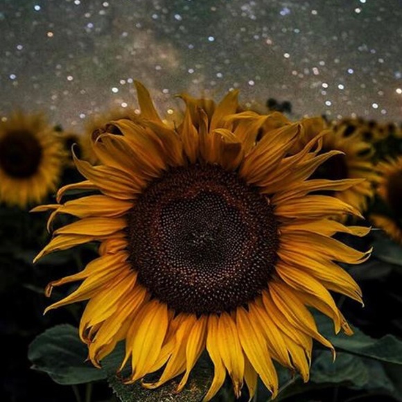 NEW LISTINGS! - Picture 3 of 4